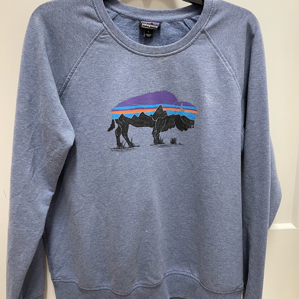 Women's Patagonia sweatshirt